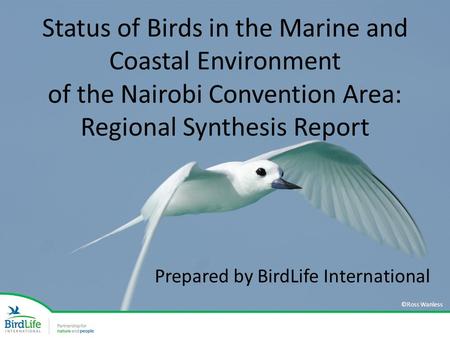 Status of Birds in the Marine and Coastal Environment of the Nairobi Convention Area: Regional Synthesis Report Prepared by BirdLife International ©Ross.