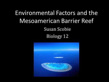 Environmental Factors and the Mesoamerican Barrier Reef Susan Scobie Biology 12.