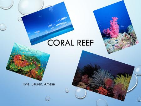 CORAL REEF Kyle, Lauren, Amelia. WHERE IS ECOSYSTEM LOCATED? LOCATED IN THE TROPICS [WARM SEAS] NORTH AND SOUTH OF EQUATOR TROPICAL OCEANS FOUND ALONG.
