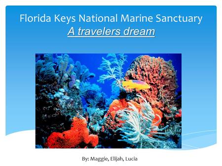 Florida Keys National Marine Sanctuary A travelers dream