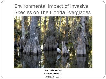 Environmental Impact of Invasive Species on The Florida Everglades Amanda Miller Composition II. April 18, 2013.