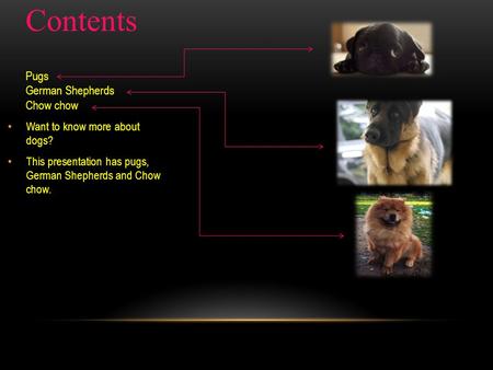 Contents Pugs German Shepherds Chow chow Want to know more about dogs? This presentation has pugs, German Shepherds and Chow chow.