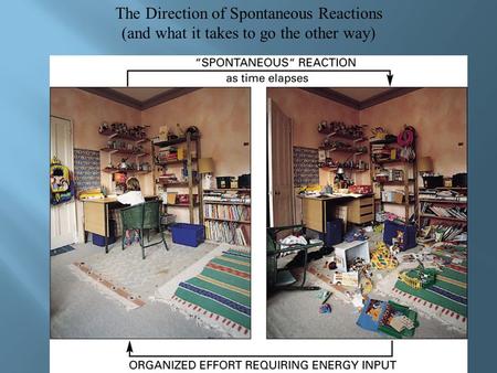 The Direction of Spontaneous Reactions (and what it takes to go the other way)