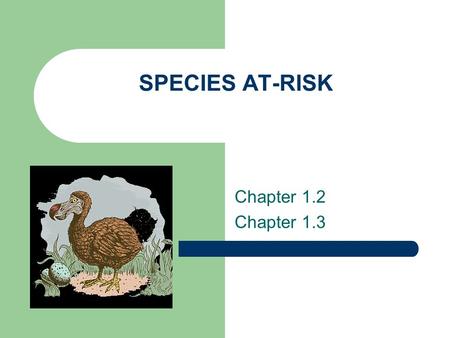 SPECIES AT-RISK Chapter 1.2 Chapter 1.3. What’s Out There? Scientists were startled in 1980 by the discovery of a tremendous diversity of insects in.