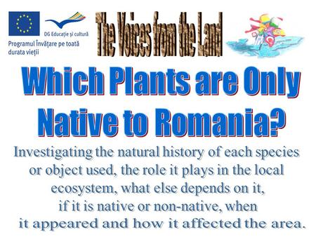 Many of Romania's ecological systems remain intact, with native plant species untouched. The extensive forests of the Carpathian Mountains make up one.
