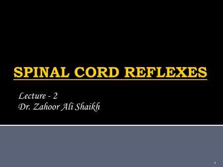 Lecture - 2 Dr. Zahoor Ali Shaikh