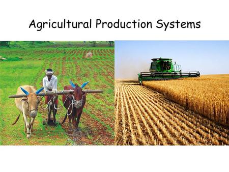 Agricultural Production Systems. Starter Do the following images show a farming INPUT, PROCESS or OUTPUT?