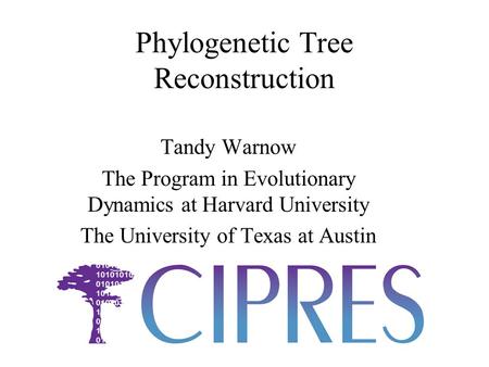 Phylogenetic Tree Reconstruction Tandy Warnow The Program in Evolutionary Dynamics at Harvard University The University of Texas at Austin.