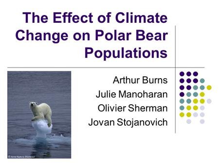 The Effect of Climate Change on Polar Bear Populations Arthur Burns Julie Manoharan Olivier Sherman Jovan Stojanovich.