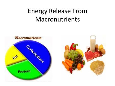Energy Release From Macronutrients The Concept of Energy Balance.