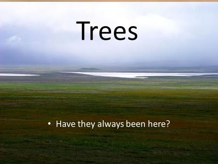 Trees Have they always been here?.