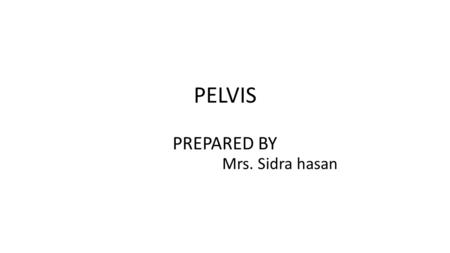 PELVIS PREPARED BY Mrs. Sidra hasan