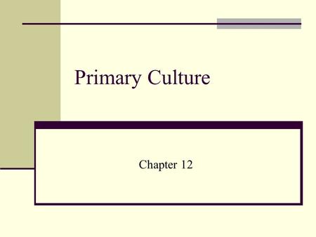 Primary Culture Chapter 12.