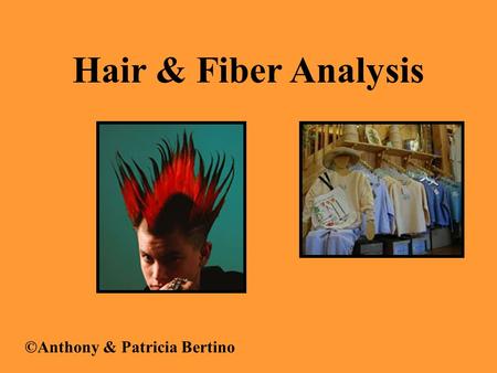 Hair & Fiber Analysis ©Anthony & Patricia Bertino.