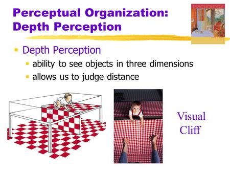 Perceptual Organization: Depth Perception  Depth Perception  ability to see objects in three dimensions  allows us to judge distance Visual Cliff.