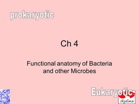 Ch 4 Functional anatomy of Bacteria and other Microbes.