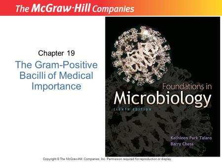 Chapter 19 The Gram-Positive Bacilli of Medical Importance Copyright © The McGraw-Hill Companies, Inc. Permission required for reproduction or display.