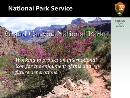 Grand Canyon National Park: Working to protect an international icon for the enjoyment of this and future generations.