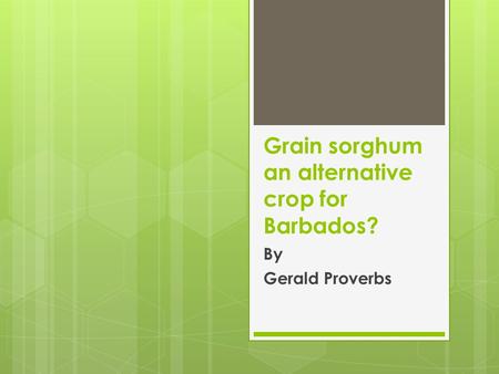 Grain sorghum an alternative crop for Barbados? By Gerald Proverbs.