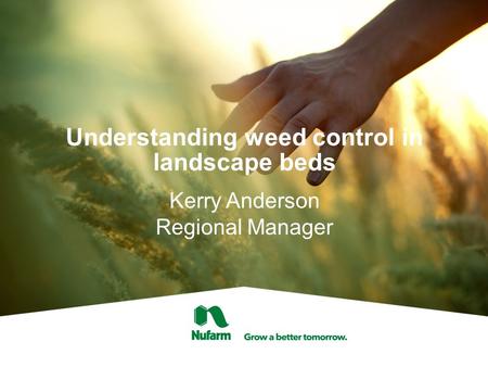 Understanding weed control in landscape beds Kerry Anderson Regional Manager.