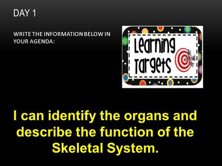 DAY 1 WRITE THE INFORMATION BELOW IN YOUR AGENDA: I can identify the organs and describe the function of the Skeletal System.