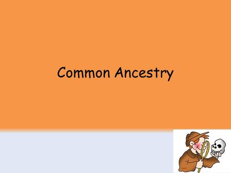 Common Ancestry.