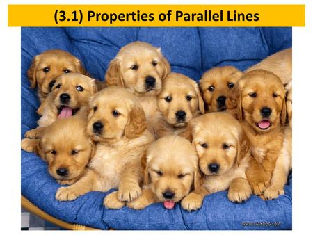 (3.1) Properties of Parallel Lines