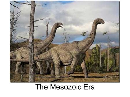 The Mesozoic Era Biblical Reference He who forms the mountains, who creates the wind, and who reveals his thoughts to mankind, who turns dawn to darkness,