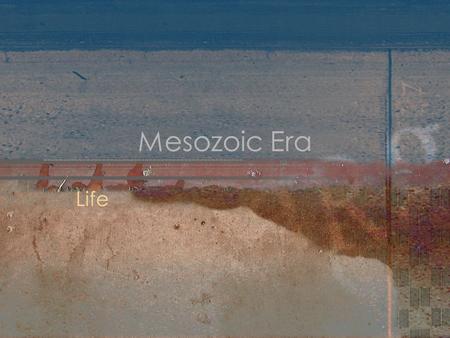 Mesozoic Era Life.