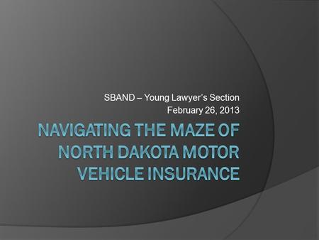 SBAND – Young Lawyer’s Section February 26, 2013.