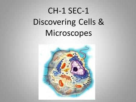 CH-1 SEC-1 Discovering Cells & Microscopes. An Overview of Cells Cells are the basic unit of structure and function in living things. This means that.