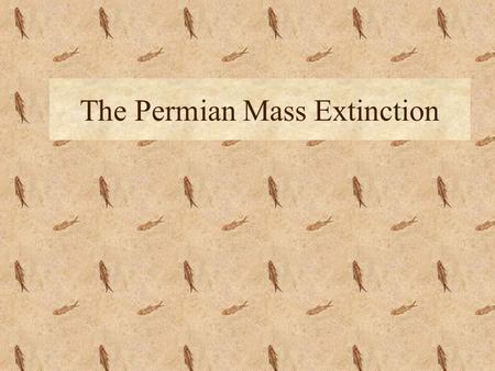 The Permian Mass Extinction. What causes extinctions? 1.Competition from other organisms -Everything needs some space to live. -If there isn’t enough.