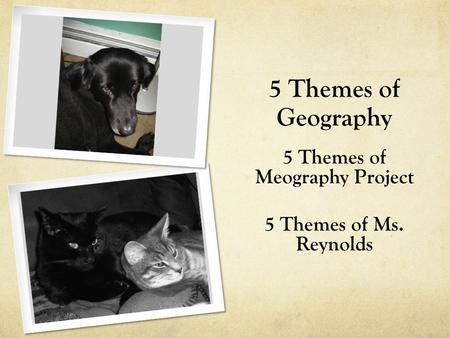 5 Themes of Meography Project