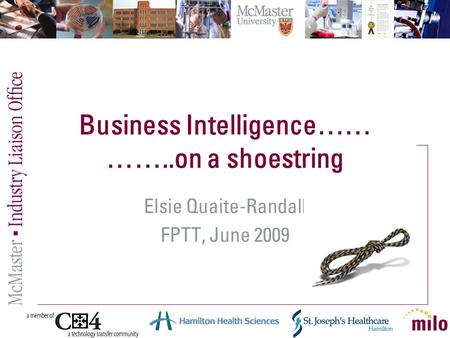 Business Intelligence…… ……..on a shoestring Elsie Quaite-Randall FPTT, June 2009.