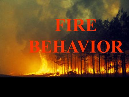 FIRE BEHAVIOR. Surface fire: Ground: Crown: Three types of fire behavior Fuels at or near the surface Subsurface organic fuels (duff, organic soils) Tree.