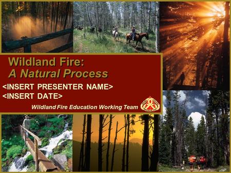 Wildland Fire: A Natural Process Wildland Fire Education Working Team.