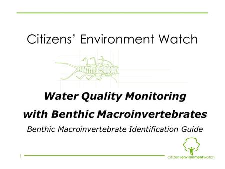 1 Citizens’ Environment Watch Water Quality Monitoring with Benthic Macroinvertebrates Benthic Macroinvertebrate Identification Guide.