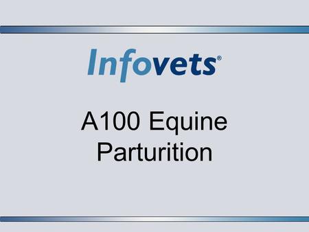 A100 Equine Parturition. Infovets Educational Resources – www.infovets.com – Slide 2 Vaccination of the Pregnant Mare  A vaccination program should include.