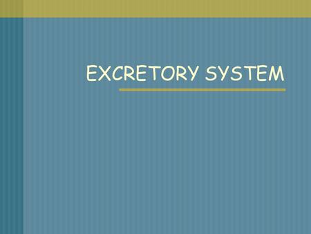EXCRETORY SYSTEM.