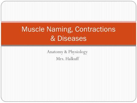 Anatomy & Physiology Mrs. Halkuff Muscle Naming, Contractions & Diseases.