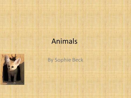 Animals By Sophie Beck. cats Cats were very important animals in Ancient Egypt, they were both pets and symbols of cat gods such as Bast.