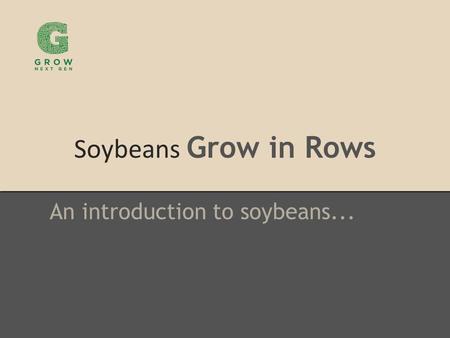 Soybeans Grow in Rows An introduction to soybeans...