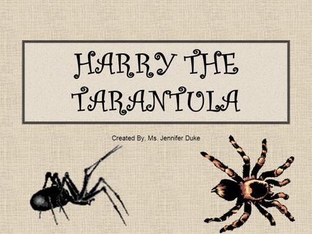 HARRY THE TARANTULA Created By, Ms. Jennifer Duke.