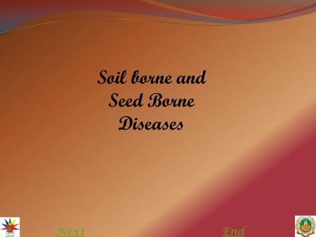 NextEnd Soil borne and Seed Borne Diseases. Soil borne disease The diseases that are caused by fungal pathogens which persist (survive) in the soil matrix.