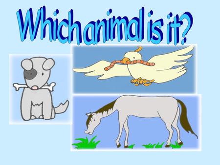Which animal is it?.