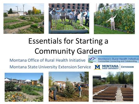 Essentials for Starting a Community Garden Montana Office of Rural Health Initiative Montana State University Extension Service.