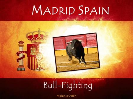 Madrid Spain Bull-Fighting Melanie Otten