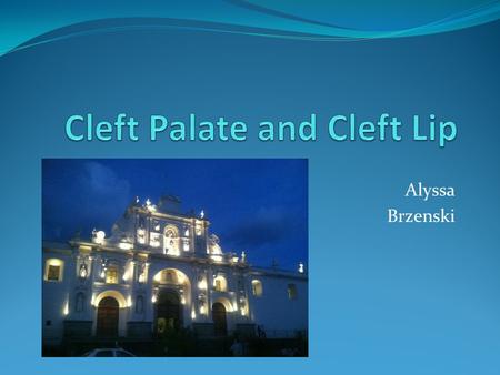 Alyssa Brzenski. Overview Basic statistics of Cleft Lips and Cleft Palate Basic embryology of Cleft Lips and Palates Common Associated Syndromes Anesthetic.