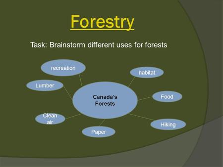 Forestry Canada’s Forests Lumber Clean air habitat Food Hiking Paper recreation Task: Brainstorm different uses for forests.