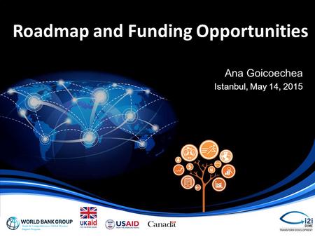 Roadmap and Funding Opportunities Ana Goicoechea Istanbul, May 14, 2015.